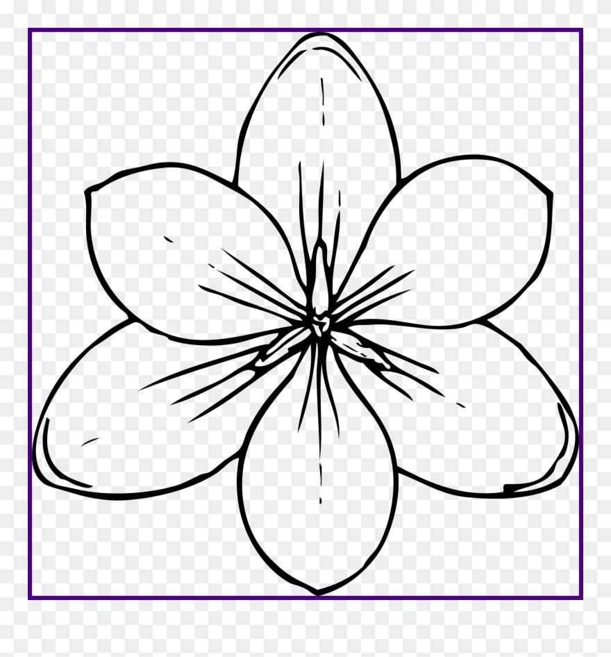 Flower Vector Freeuse Download - Pumpkin Flower Coloring Pages Clipart