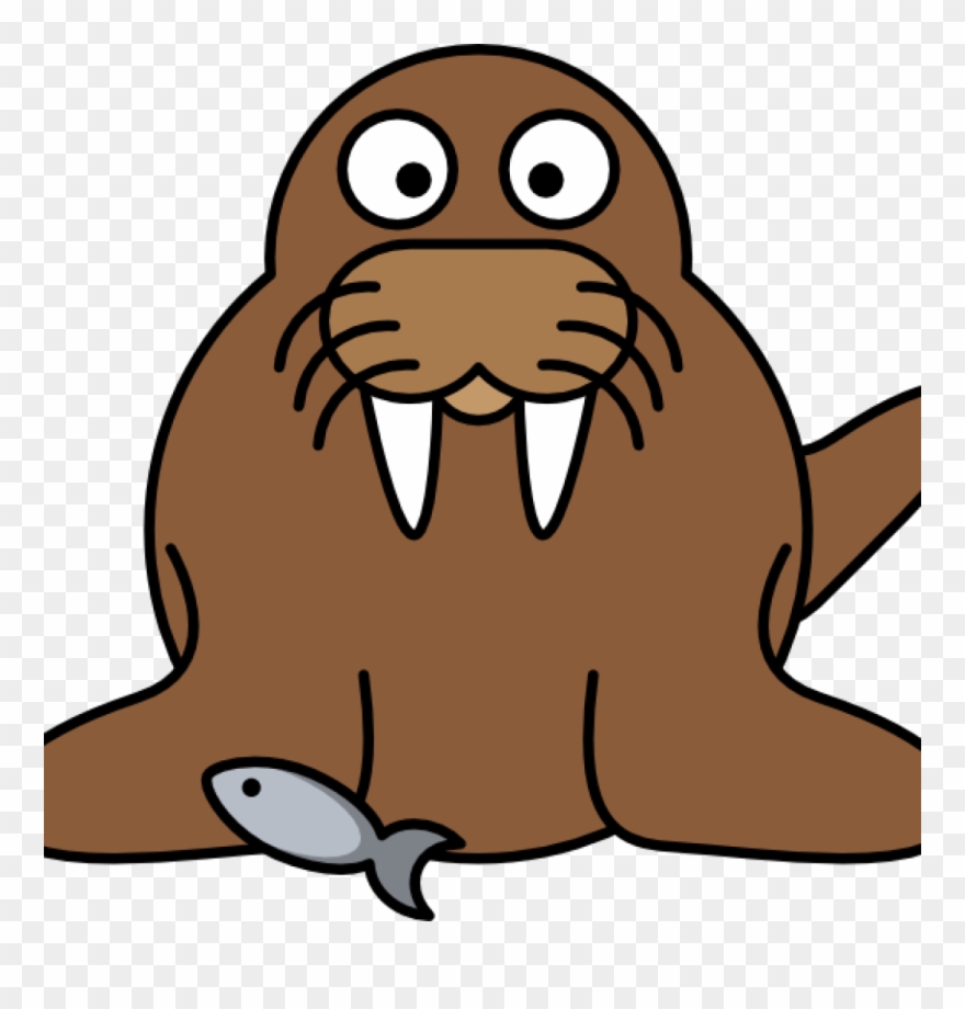 Walrus Clipart With Fish Clip Art At Clker Vector Online - Walrus Clipart - Png Download