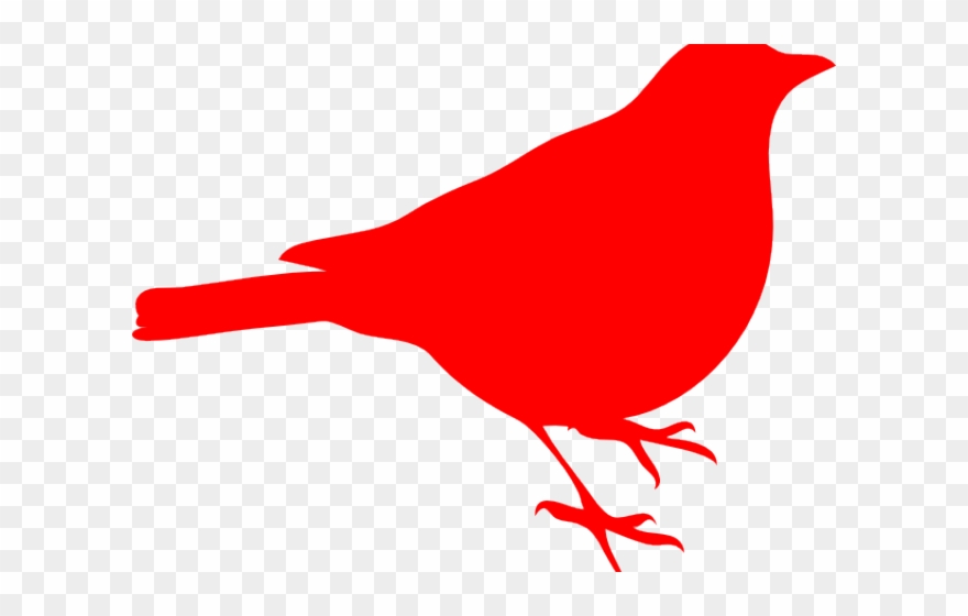 Baby Clipart Cardinal - Red Sparrow Bird Png Transparent Png