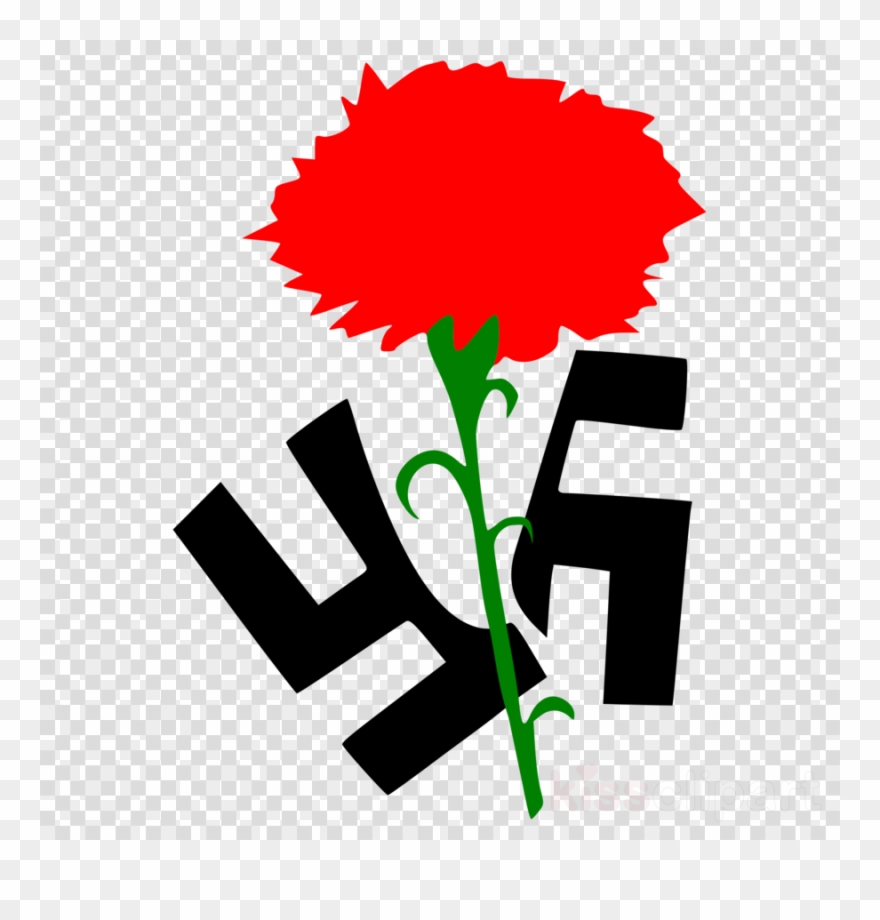 Red Carnation Clip Art Clipart Computer Icons Carnation - Png Download