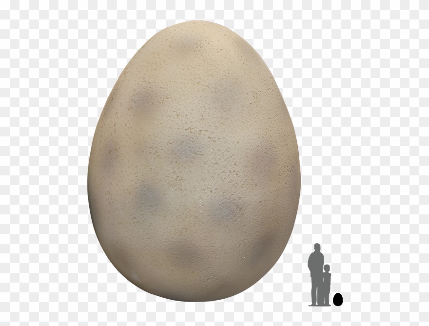 Download Large Dinosaur Egg - Dinosaur Egg Png Clipart (#1814782