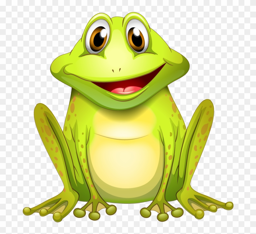 Imagen De Una Rana Clipart