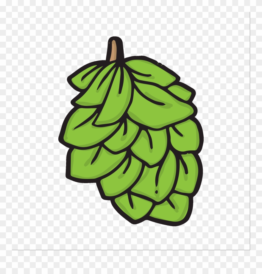 Hops - Hops Clipart - Png Download