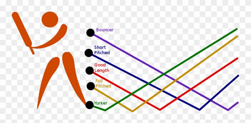Cricket Lengths - Cricket Batting Shots Tips Clipart