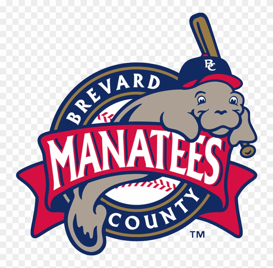Brevard County Manatees Clipart