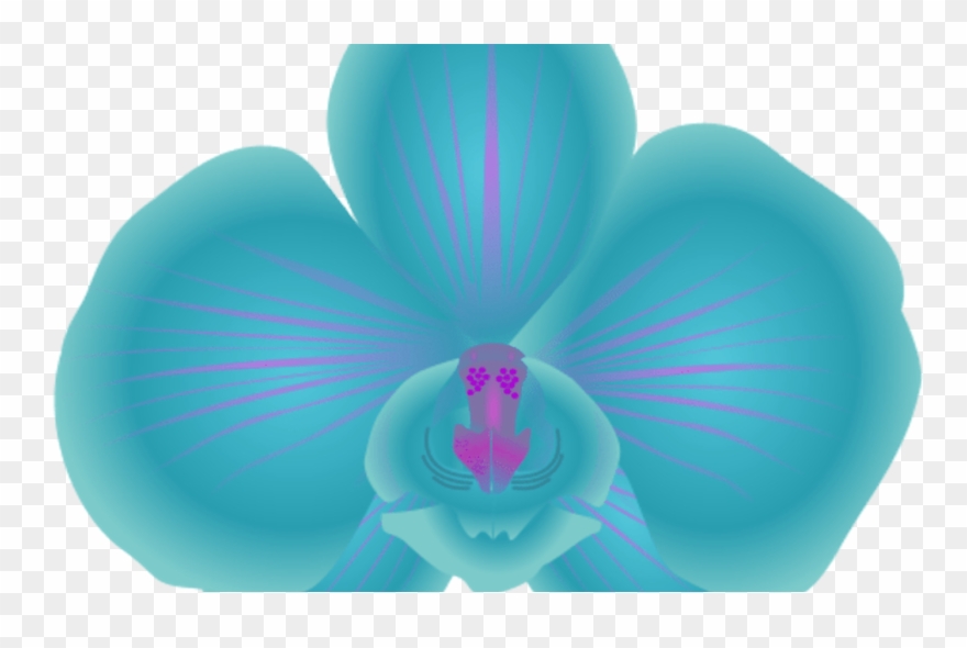 Teal Flower Clipart Image - Clip Art - Png Download
