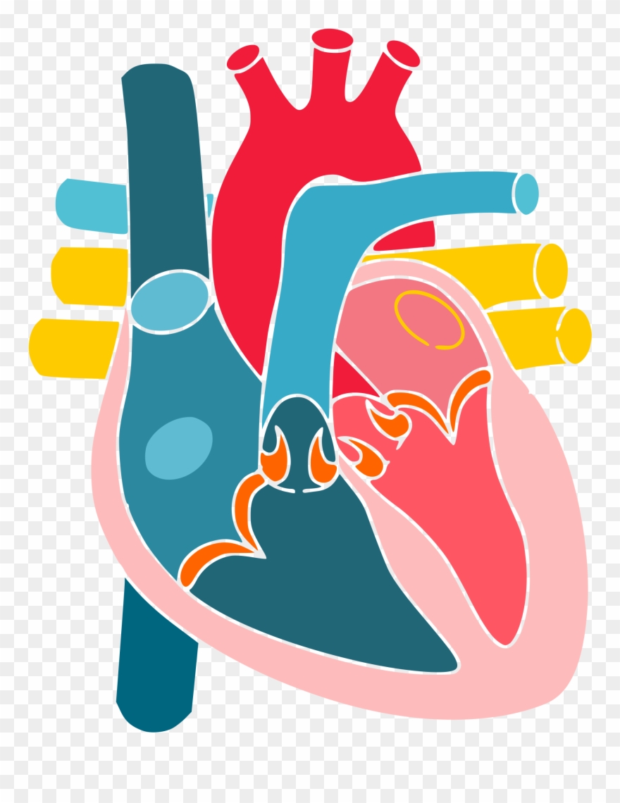 Clip Art Library Download File Heartsimpleandeasy Wikimedia - Wikimedia Commons - Png Download