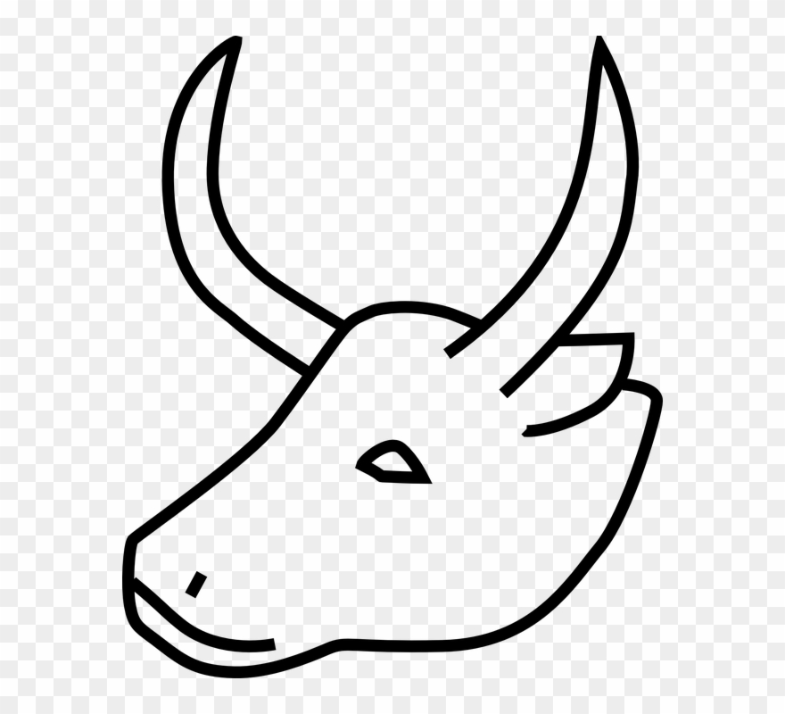 Buffalo, Animal, Wildlife, Wild Ox, Black And White - Cow Horn Clipart Black And White - Png Download