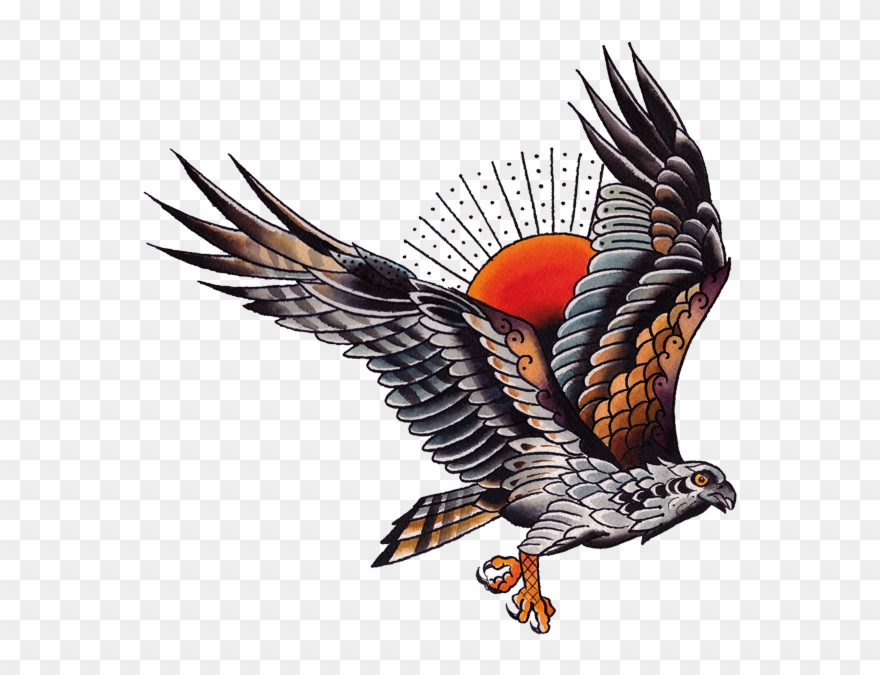 Vector Hawks Osprey Clipart Transparent Stock - Png Download