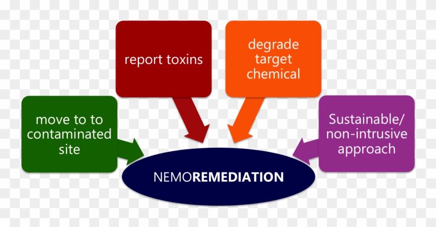 Flowchart Pollution Bioremediation Diagram Bioremediation - Different Types Of Flow Chart Clipart