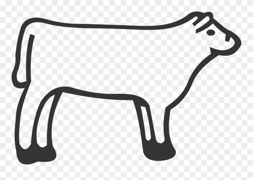 Heifer Steer Clipart