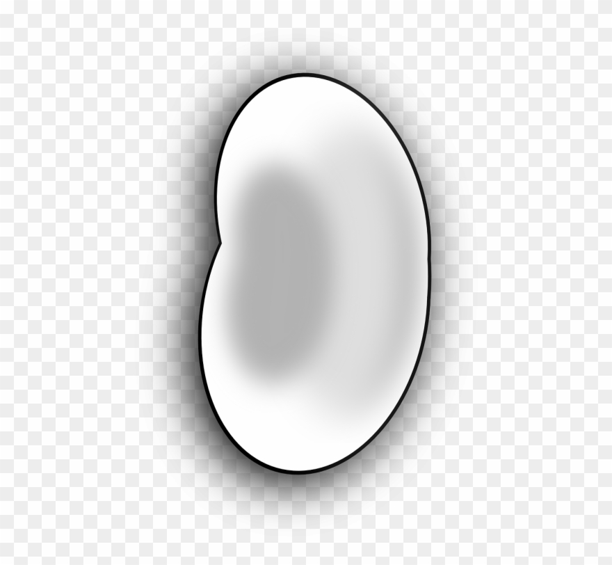 Pupos,balta,ankštiniai - Bean Clipart