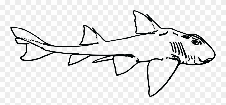 Free Clipart Of A Shark - Port Jackson Shark Clipart - Png Download