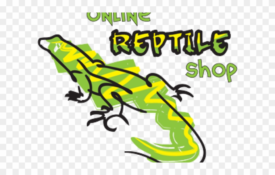 Reptile Clipart Equipment - Png Download