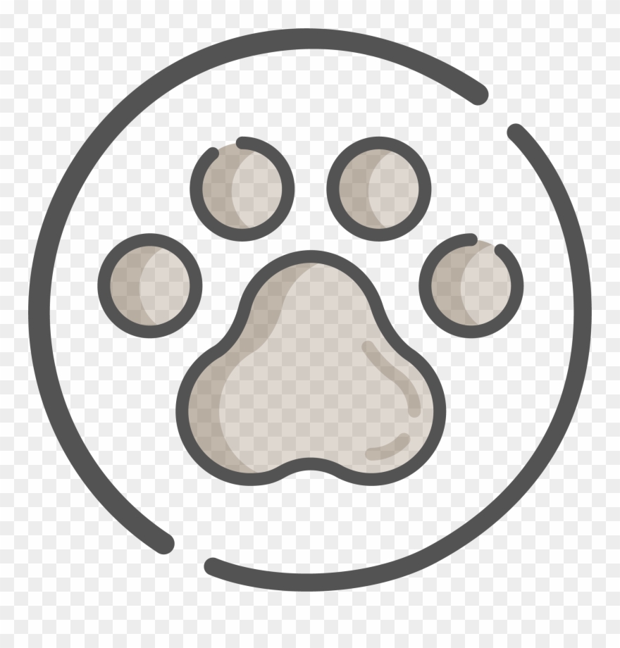 A Pet Friendly Camping In Tuscany With Swimming Pool - Circle Clipart