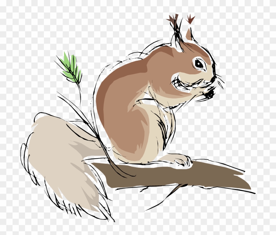 Squirrel Nuts Picture - Clipart Animals - Png Download