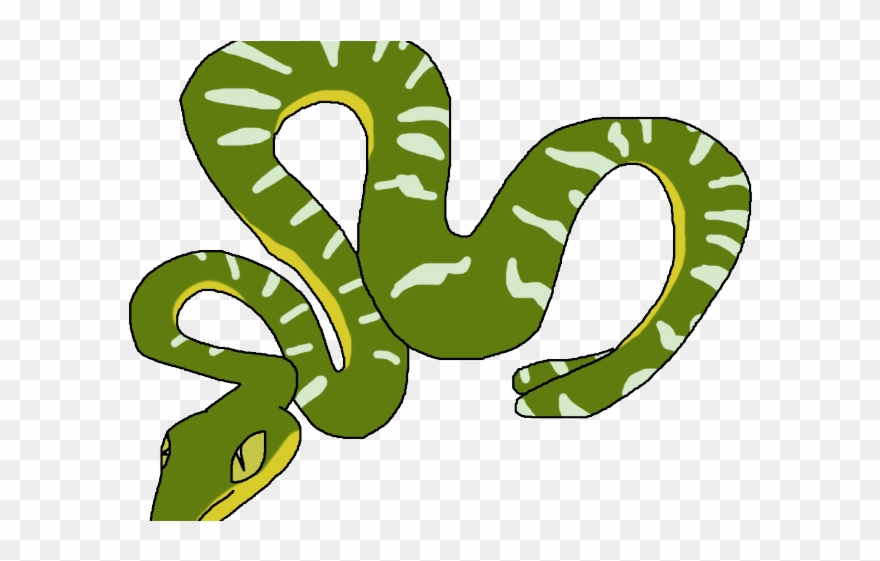 Tree Python Clipart Rainforest Snake - Emerald Tree Boa Clipart - Png Download