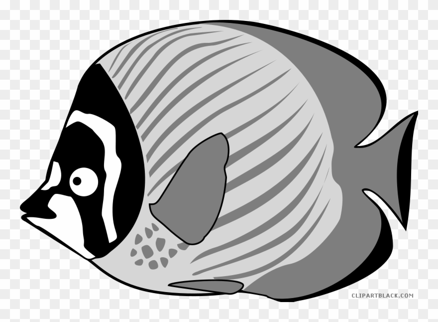 Image Tropical Fish Black And White Clipart - Sea Fish For Clip Art - Png Download