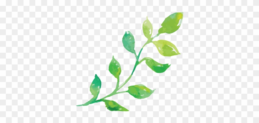 She Took My Engagement Pictures, And I Loved Them So - Tree Clipart