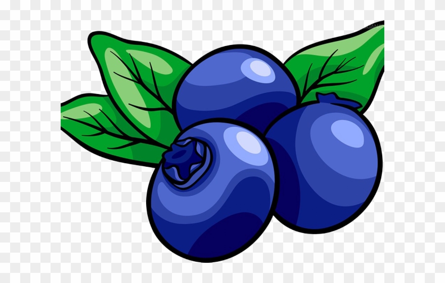 Muffin Clipart Fruit - Blueberry Clipart - Png Download