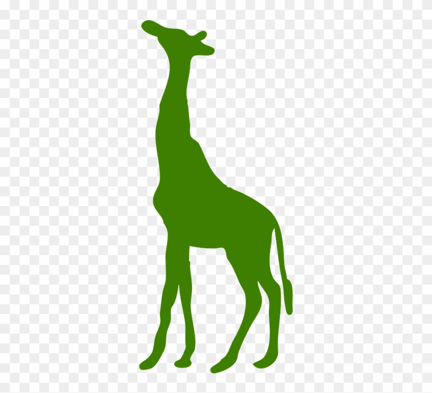 Vector Giraffe Clipart