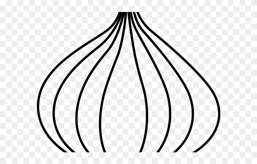 Drawn Onion Line Drawing - Drawing Clipart