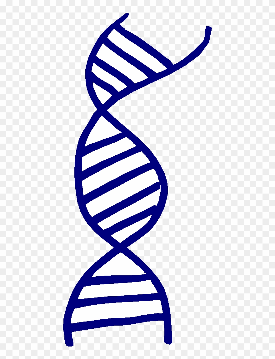 Read "a Genetic Study" Adapted From A Microbiology - Stickler: The Elusive Syndrome [book] Clipart