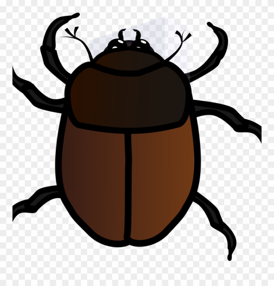 Free Bug Clipart Free Clipart June Bug Jpneok Clip - Bug Favicon - Png Download