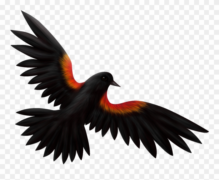 Download Svg Library Download Clip Art At Clker Com - Red Winged Blackbird Png Transparent Png