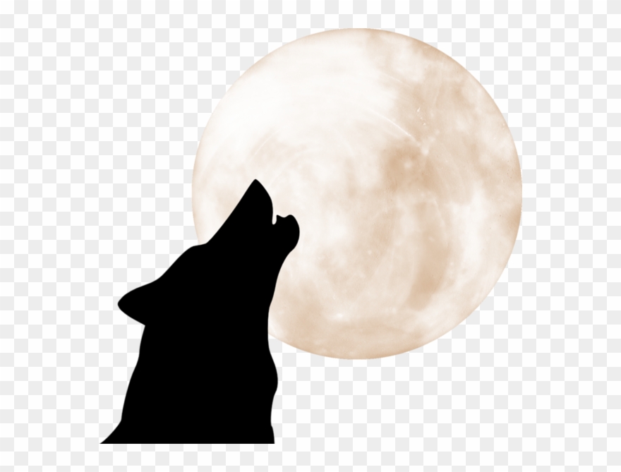 Wolves And Moons - Editorial Clipart