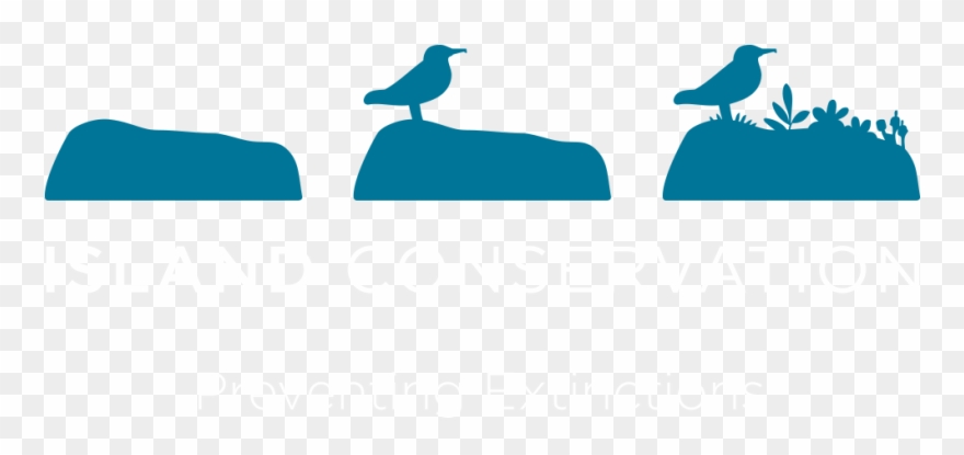 Island Conservation Logo 72 Dpi Transparency - Island Conservation Clipart