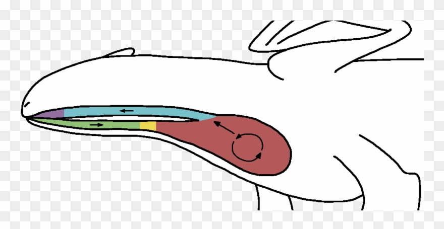 Rocks Are Chewed And Broken Into Small Pieces,and Travel - Illustration Clipart