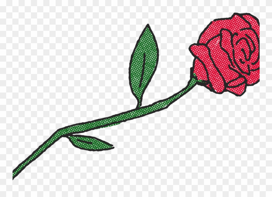 Hybrid Tea Rose Clipart