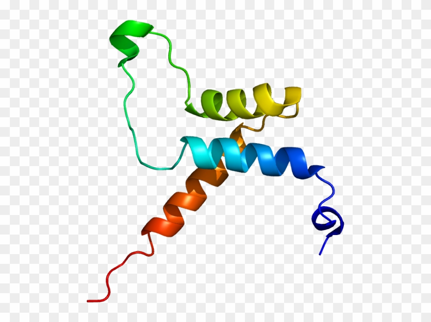 Cell Potency Clipart