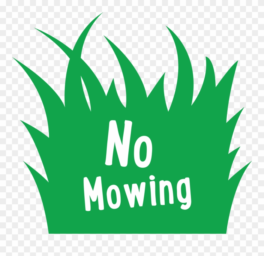 Artificial Grass Is Essentially Maintenance Free, Obviously, Clipart