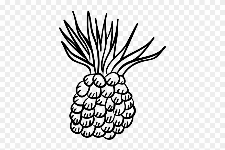 Pineapple Rubber Stamp - Drawing Clipart