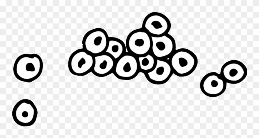 Spawn Clipart - Insect Eggs Black And White - Png Download