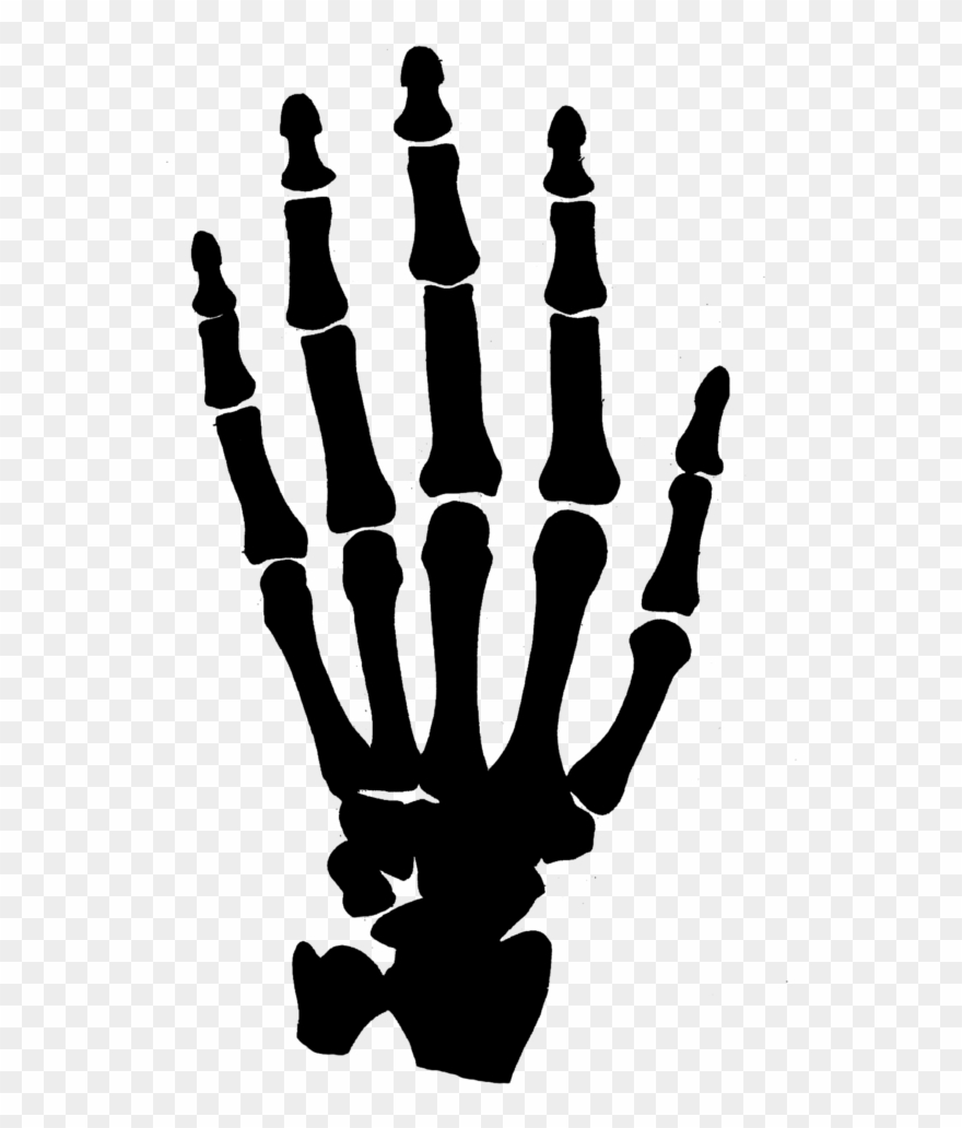 Hand Clipart Black And White Png - Skeleton Hand Clipart Png Transparent Png