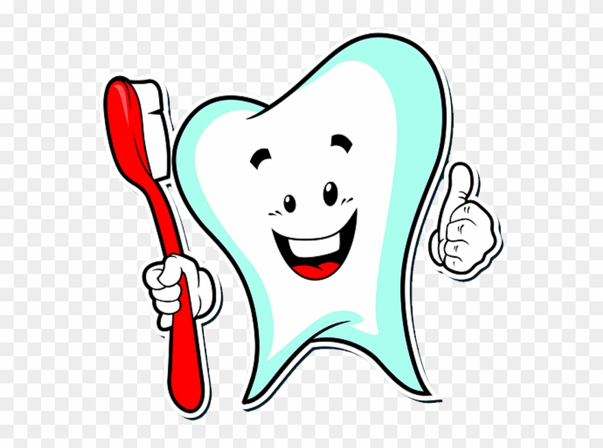 Your Dentist Should Have A Passion For Children, Creating - Tooth Clipart