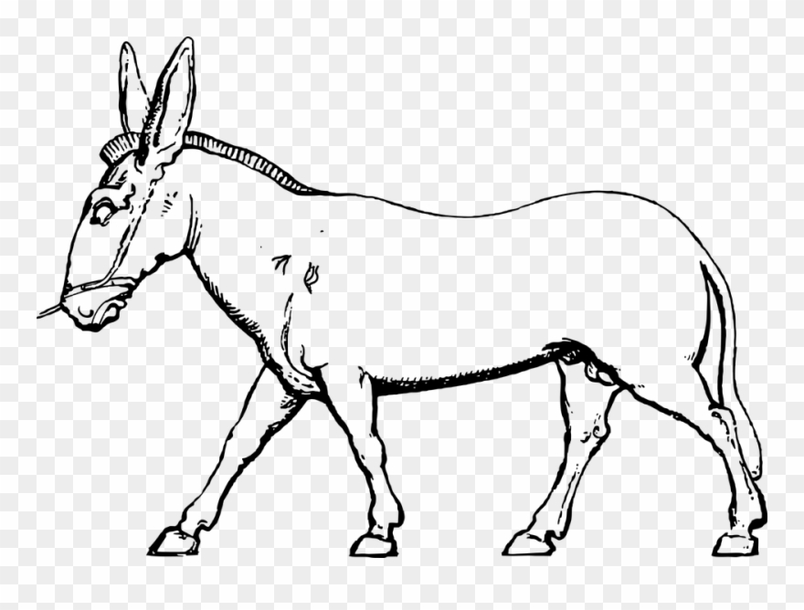 Donkey Mule Pack Animal Farm Animal Domestic - Black And White Donkey Clipart