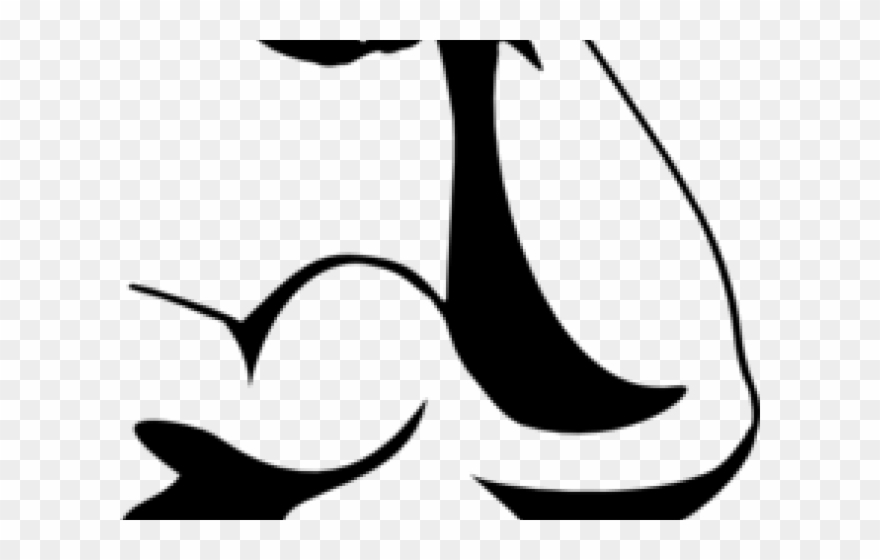 Hand Clipart Muscular - Otot Clipart - Png Download