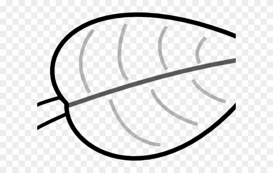 Leaf Png Black And White Clipart