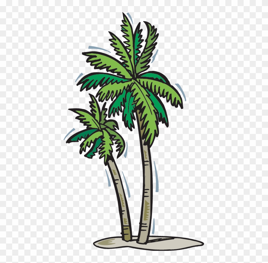 A Walk In The Rain Forest - Transparent Tropical Tree Gif Clipart