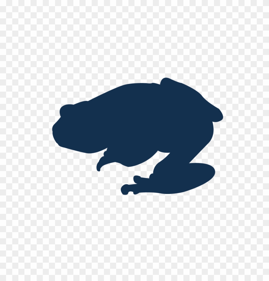 Green Tree Frog - Illustration Clipart