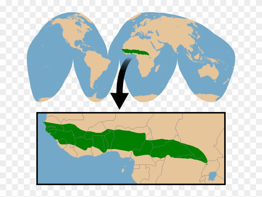 Conservation Status - World Map Clipart
