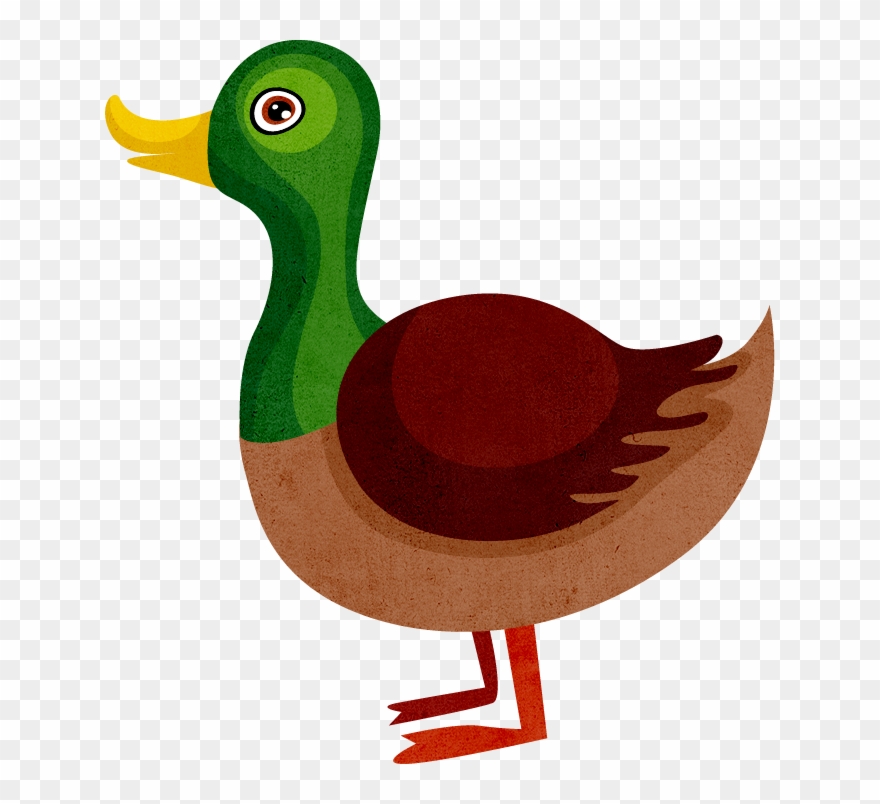 Animal Flash Cards Free Printable Clipart