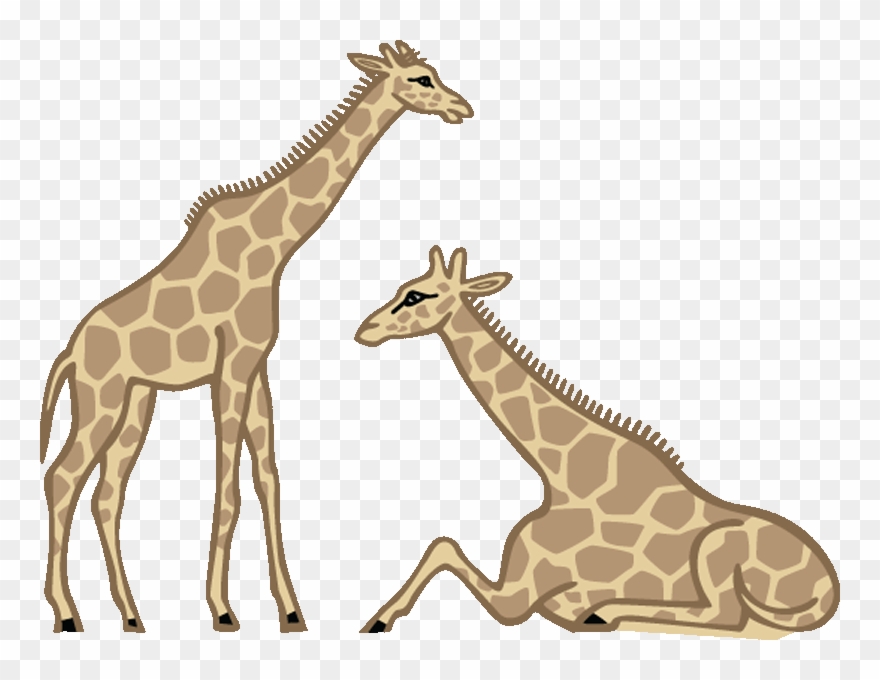 Giraffe Clipart - Giraffe Laying Down Cartoon - Png Download
