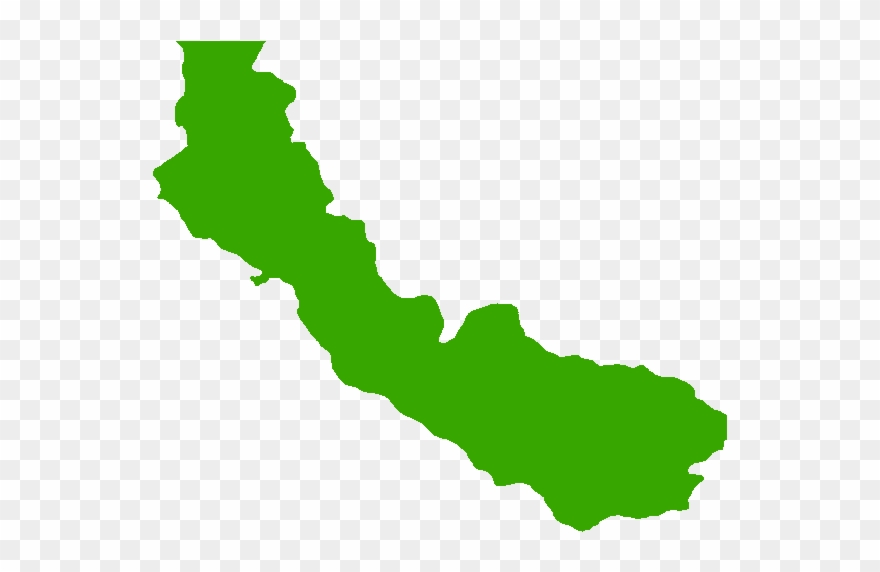 Ducks Clipart Wood Duck - Clip Art - Png Download