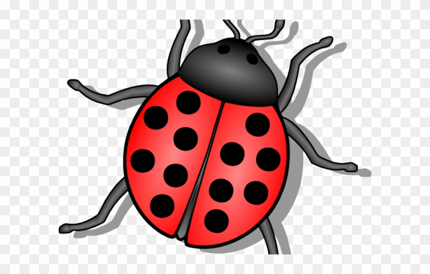 Beetle Clipart Animated - Lady Bug - Png Download