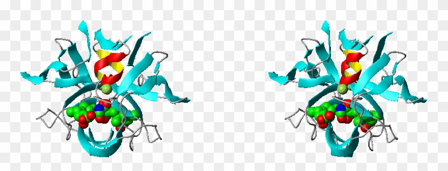 Protein, Nucleic Acid - Graphic Design Clipart